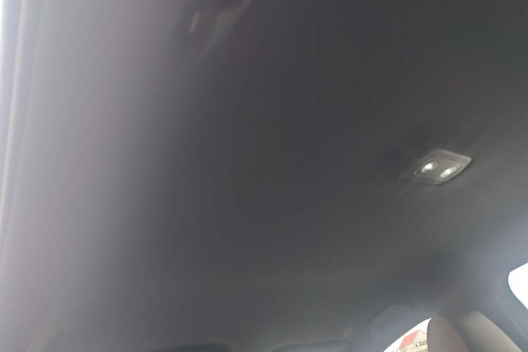 Used BYD Dolphin 2025 420km Free Edition Headliner