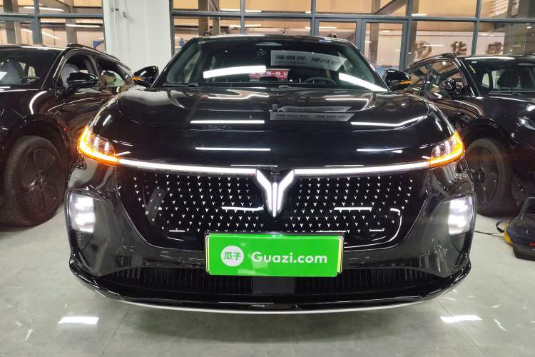 Used VOYAH COURAGE 2024 Four-Wheel Drive Global Edition