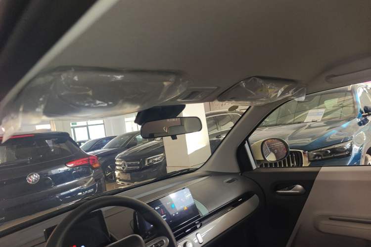 Used Qiyuan Lumin 2025 205 km Xiangqin Version