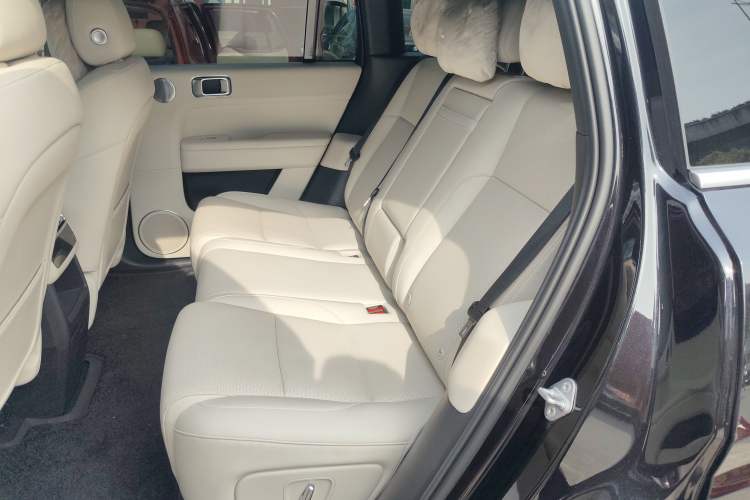 Used Li Auto L6 2024 Pro Model Left Rear Seat