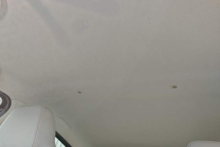 Used SOL E10X 2022 Flower Fairy Design Sunflower