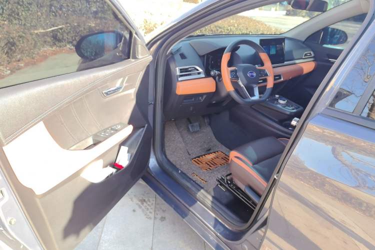 Used BYD e2 2019 Long-Range Version Yao·Luxury Trim
