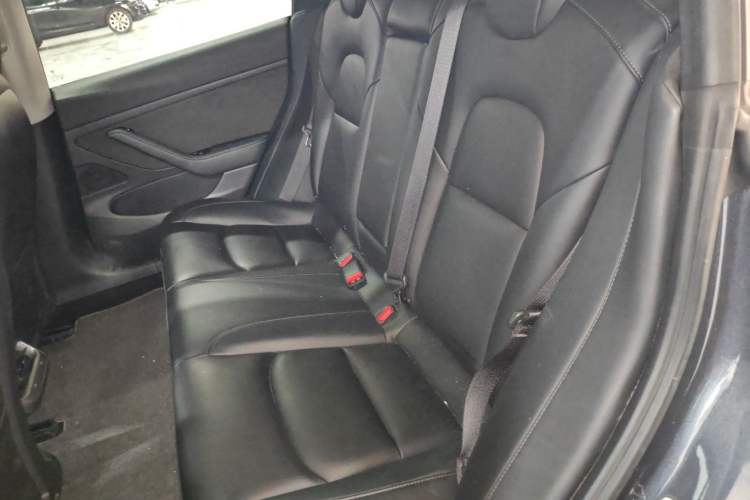 Used Tesla Model 3 2020 Standard Range Rear-Wheel Drive Upgraded Version