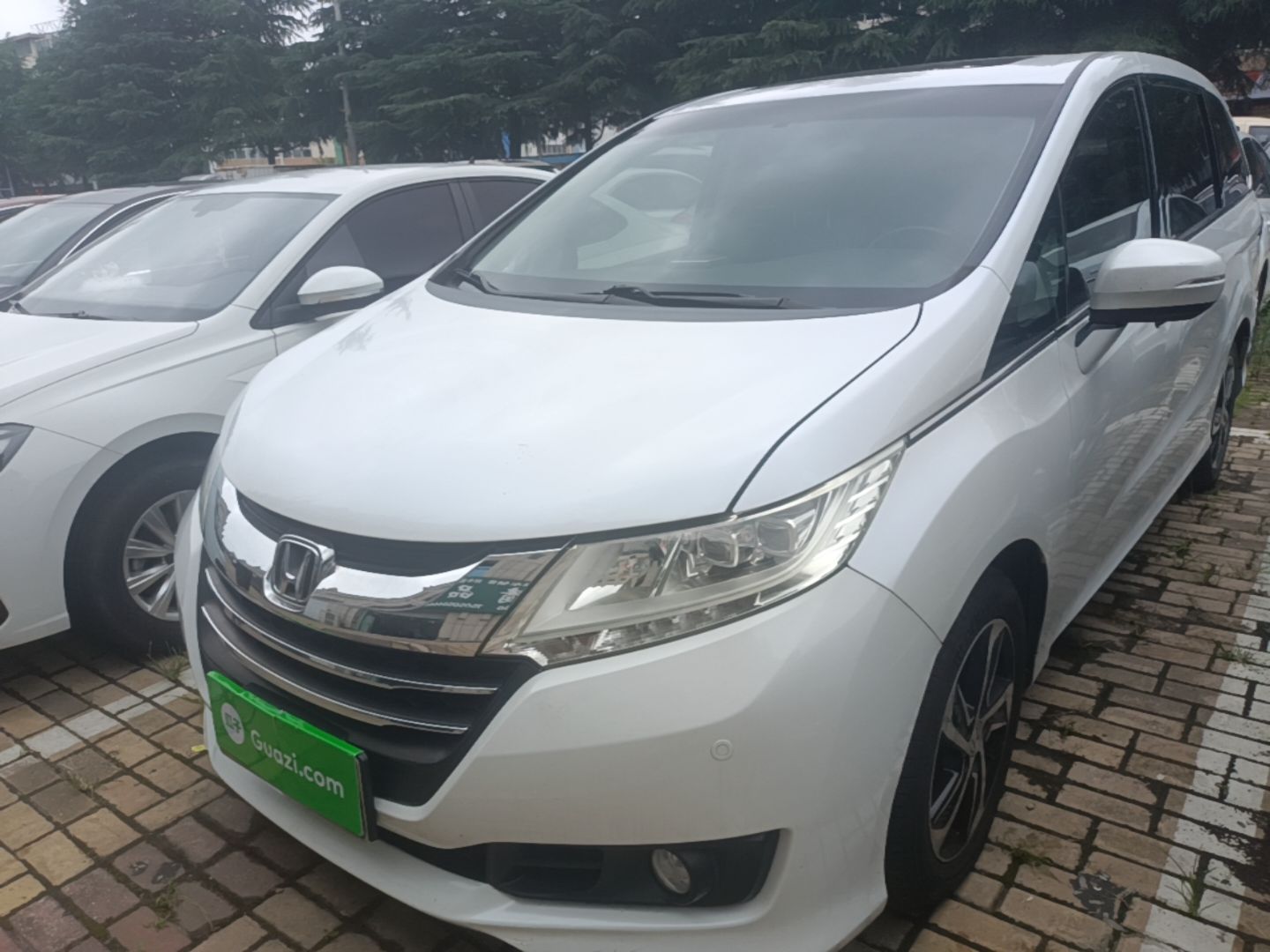 Under Front Bumper
