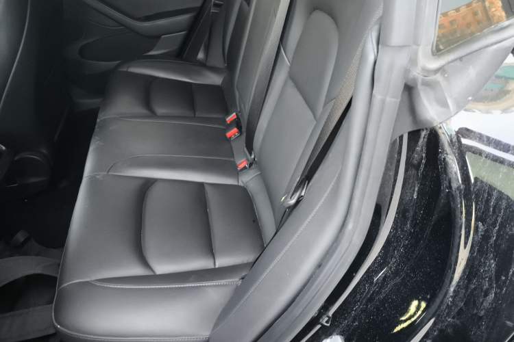 Used Tesla Model 3 2021 Revised Version Standard Range Rear-Wheel Drive Upgraded Edition 3D1