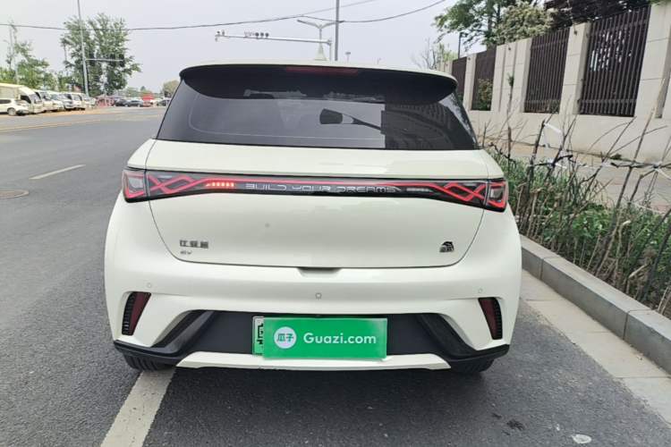 Used BYD Dolphin 2021 405 km Fashion Edition Rear