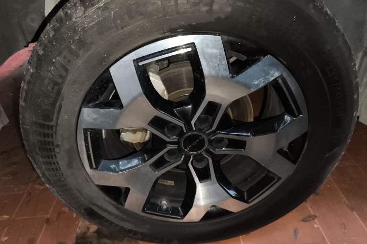 Used Radar Horizon 2024 460 km All-Wheel-Drive Max Version
