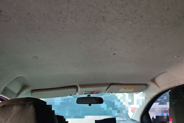 Used CHANGAN Benni E-Star 2020 Heartbeat Edition NMC Lithium Headliner