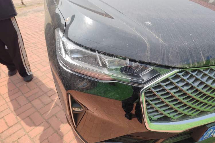 Used Haval H6 2022 3rd Generation 1.5T Automatic Two-Wheel Drive Pro