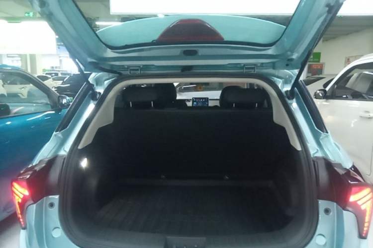 Used NETA V 2021 Long-Range Entertainment Edition Upgrade Model