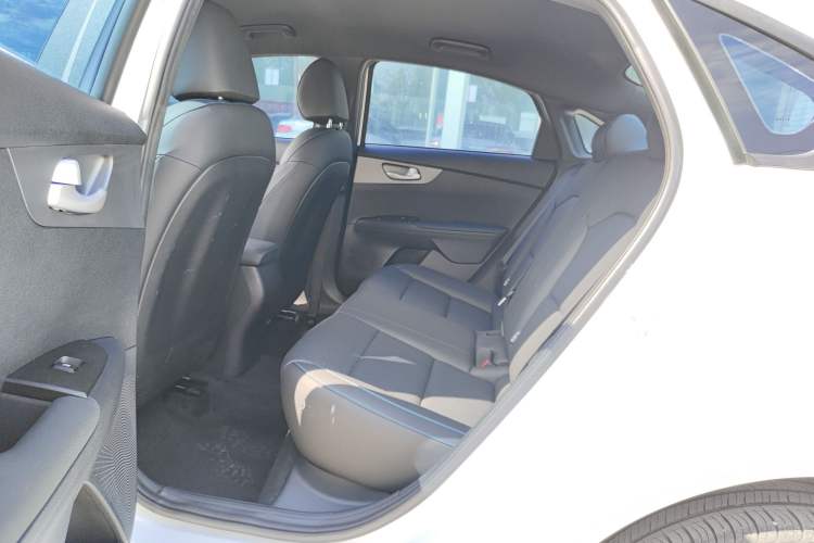 Used Kia K3 New Energy 2021 EV Comfort Edition 410km Left Rear Seat