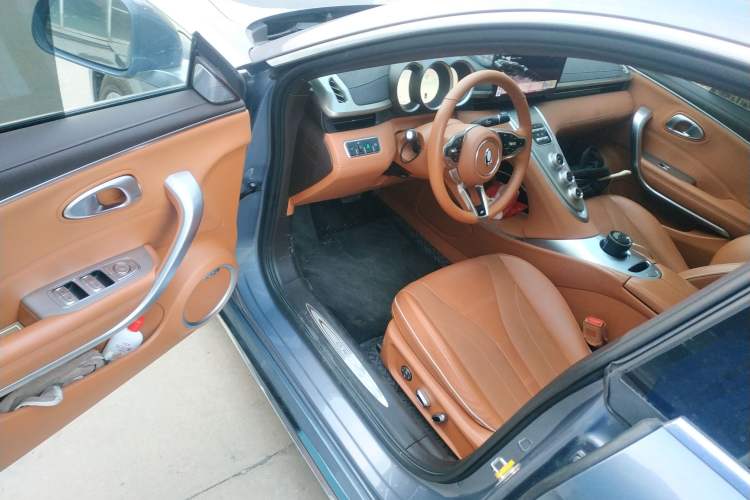 Used ORA Lightning Cat 2022 555 km Luxury Edition