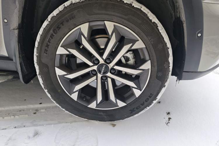 Used Haval H Dog 2023 2.0T All-Wheel-Drive Chaoye Plus