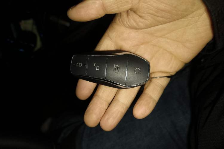 Used BYD Dolphin 2023 420 km Fashion Edition Vehicle Key