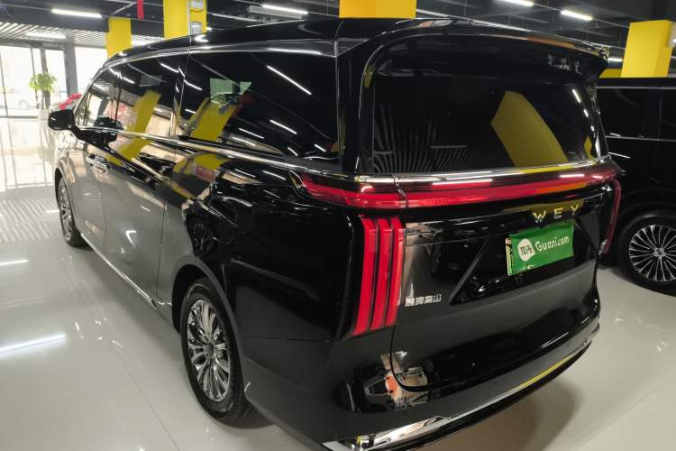 Used Wey Gaoshan 2023 Four-Wheel-Drive Executive Extended Version