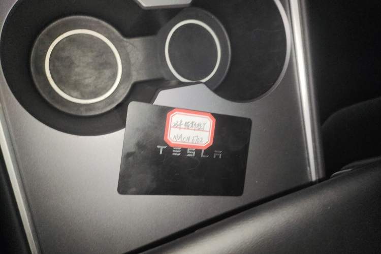 Used Tesla Model Y 2022 Revised Version Long-Range All-Wheel Drive
