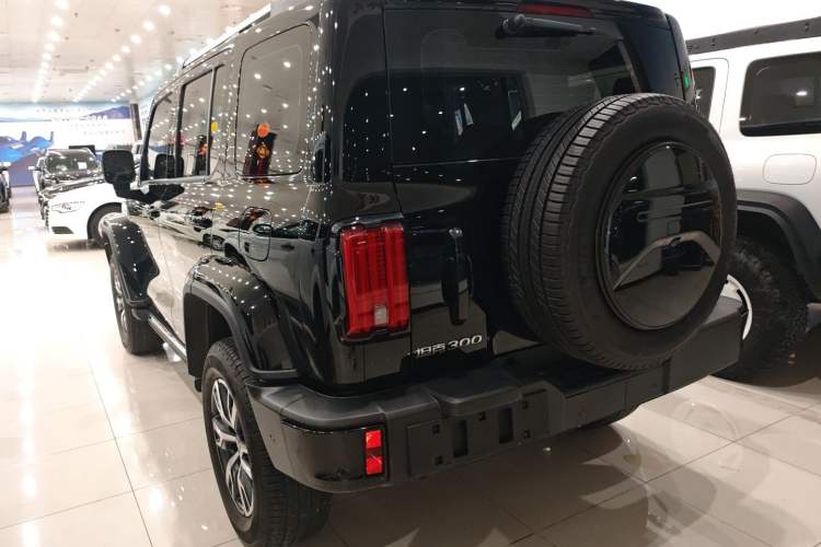 Used Tank 300 2024 2.0T Crosser