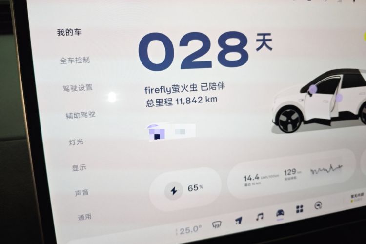 Used firefly 2025 Illuminated Edition
