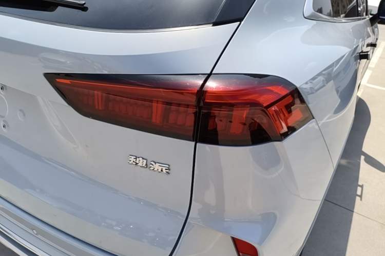 Used Wey Mocha 2021 2.0T Four-Wheel Drive Premium Edition