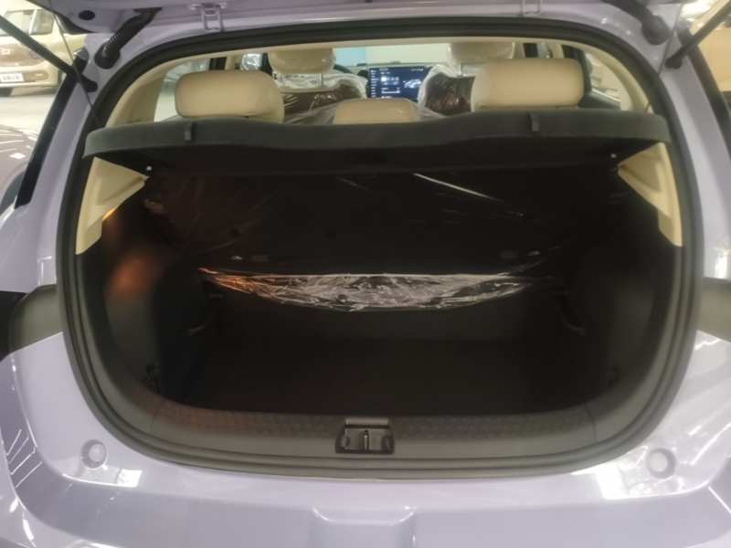 Used BYD Dolphin 2025 Smart Drive Version 420 km Freedom Edition — 18