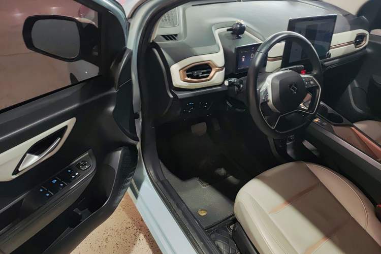 Used SOL E10X 2022 Flower Fairy Style Baby's Breath