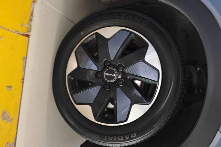 Used BYD Dolphin 2024 Honor Edition 420km Freedom Version