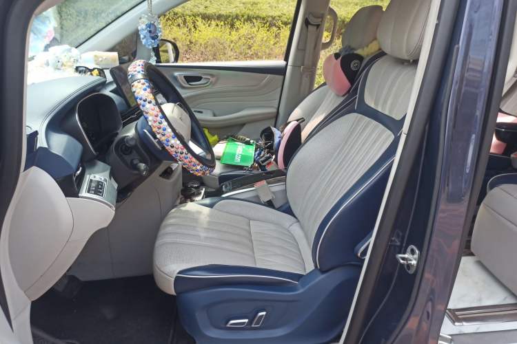 Used Roewe iMAX8 2021 400TGI Supreme Series Prestige Edition Left Front Seat