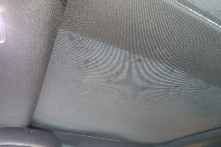 Used Ford Focus 2020 Hatchback EcoBoost 180 Automatic ST Line Headliner