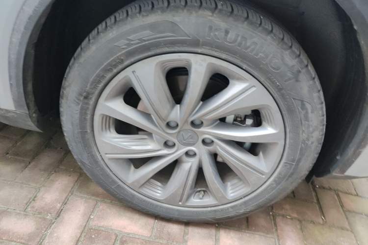 Used Livan Maple 80v PRO 2022 Comfort Edition Standard Range Version