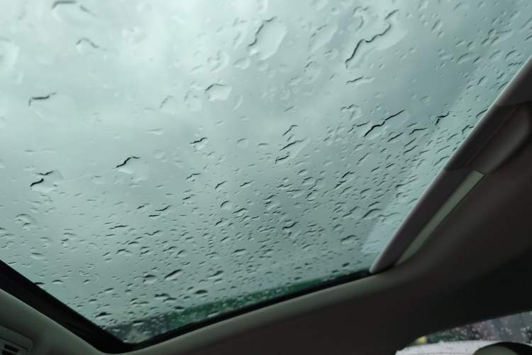 Used Volkswagen Polo 2019 Plus 1.5L Automatic Colorful Technology Edition Headliner