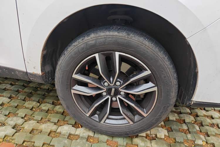 Used Wey VV5 2021 1.5T Two-Wheel Drive Color Pioneer