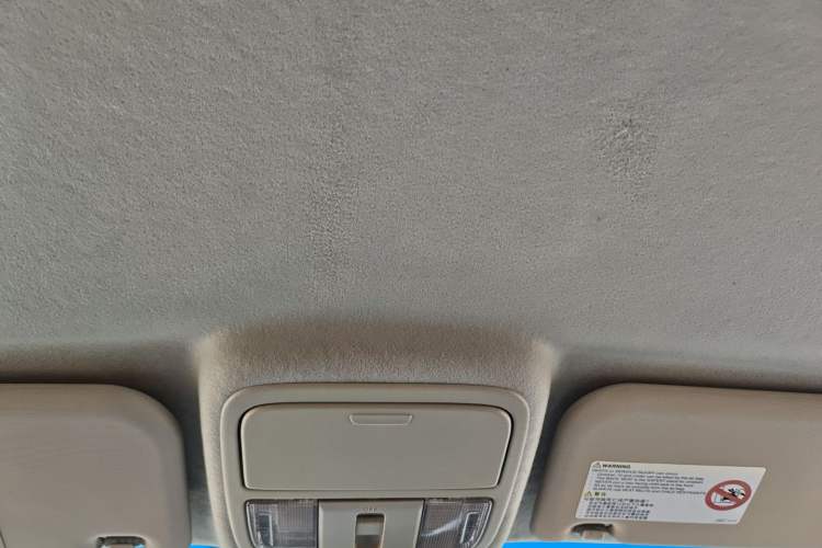 Used JMC Yuhu EV 2022 4x2 LX JX1032PSEF5BEV Headliner