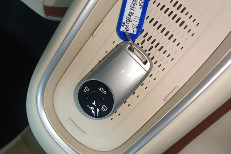 Used ORA Good Cat 2024 501 km Luxury Version