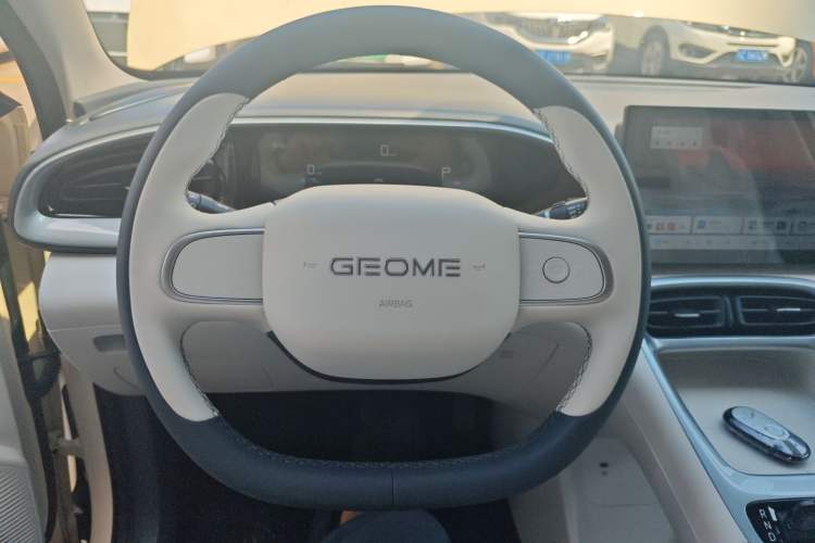 Used Geely Galaxy Geome 2025 310km Youth Edition
