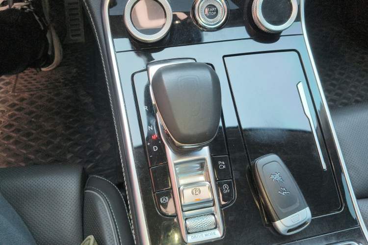 Used Hongqi H9 2020 2.0T Smart Connect Flagship Edition Gear Lever