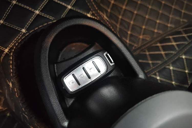 Used ORA Black Cat 2021 301 km Basic Version