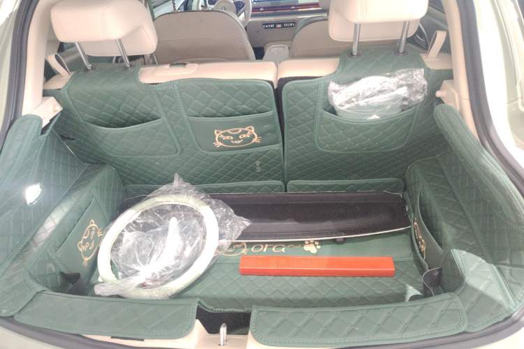 Used ORA Good Cat 2024 401 km Range Luxury Version 135 kW
