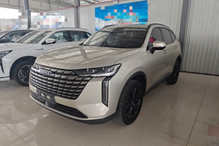 Used Haval H6 2024 1.5T Two-Wheel Drive Ultra