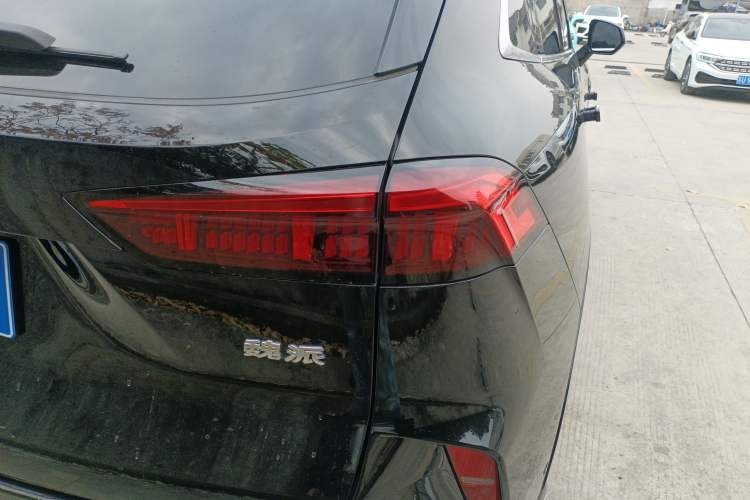 Used Wey Mocha 2021 2.0T Four-Wheel Drive Premium Edition
