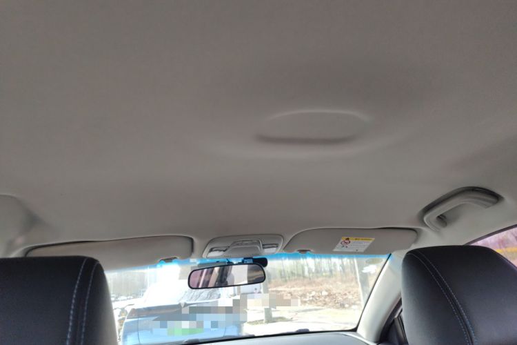 Used Geely Auto Emgrand New Energy 2019 EV500 Ambition Standard Range Edition Headliner