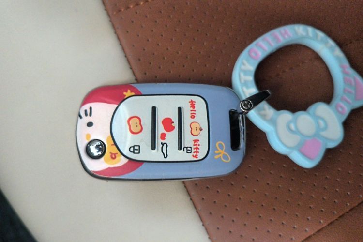 Used Wuling Hongguang MINIEV 2025 Four-Door Version Advanced Edition Vehicle Key