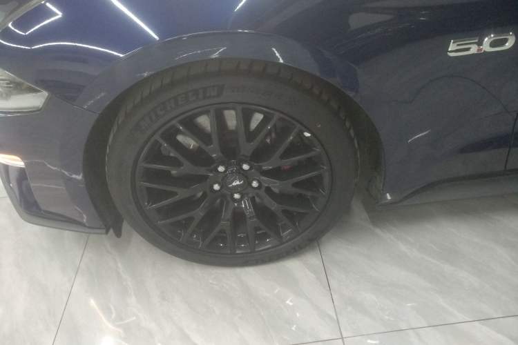 Used Ford Mustang 2019 5.0L V8 GT
