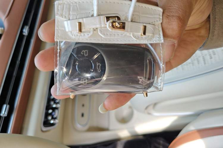 Used ORA Good Cat 2024 401 km Range Luxury Version 135 kW
