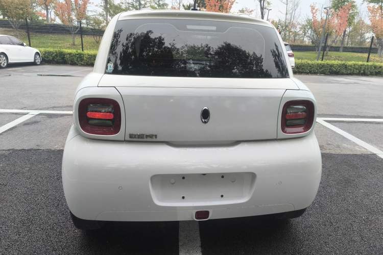 Used ORA Black Cat 2019 351 km Goddess Edition Exterior 4