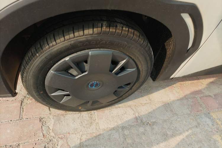 Used BYD Seagull 2025 Intelligent Driving Version 305 km Dynamic Edition
