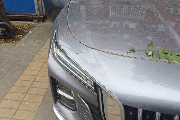 Used Hongqi H5 2023 2.0T Automatic Smart Connect Flagship Edition