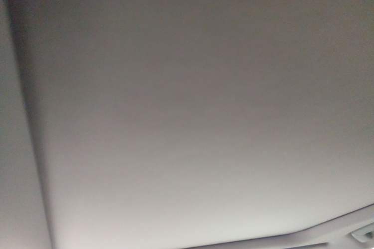 Used Lexus RX 2020 Facelifted 300 4x4 Elegant Edition Headliner