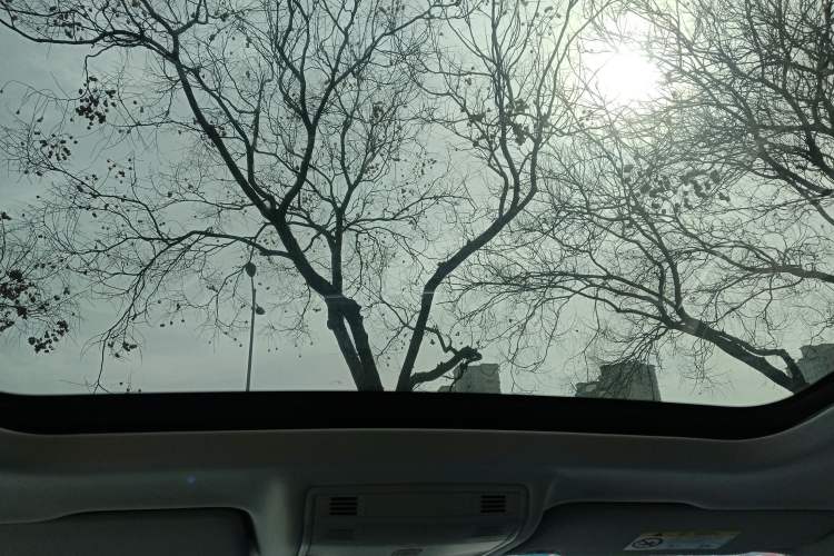 Used Volkswagen Tharu 2023 300TSI Two-Wheel-Drive Moon Luxury Edition Headliner