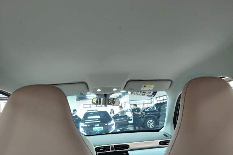 Used Leapmotor T03 2024 310 Comfort Edition Headliner