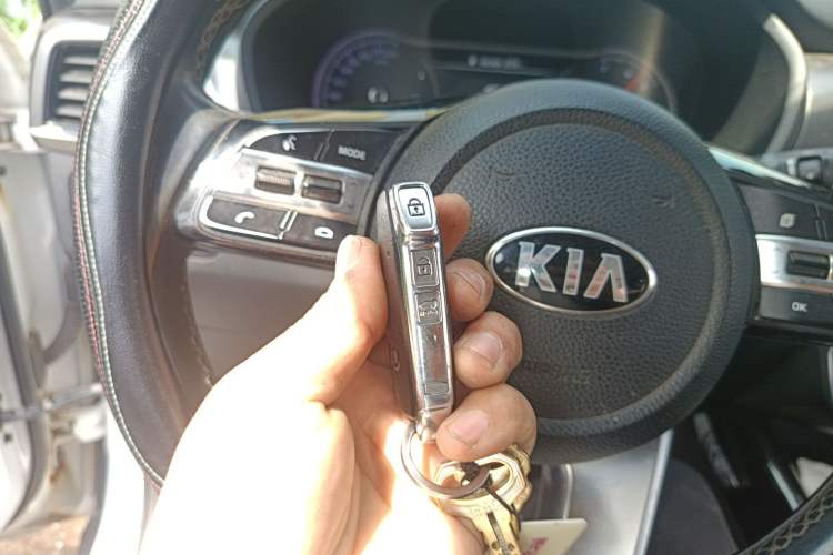 Used Kia Sportage R 2019 2.0L Automatic Smart Luxury Edition
